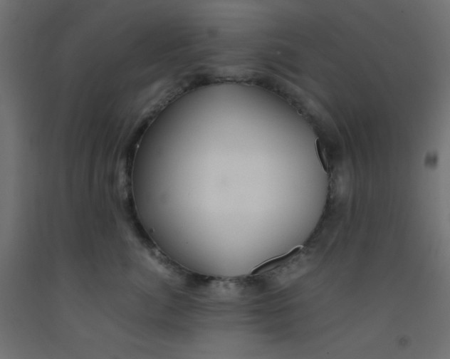 X0000092290764200710121434