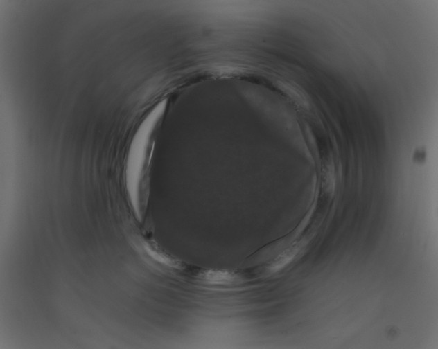 X0000092290766200710121434