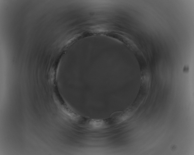 X0000092290767200710121434