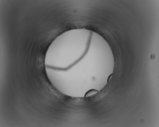 X0000092290768200710121434