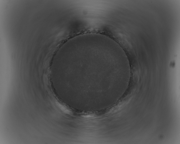 X0000092290769200710121433