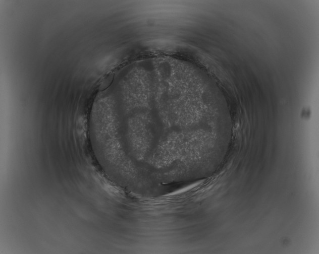 X0000092290772200710121433