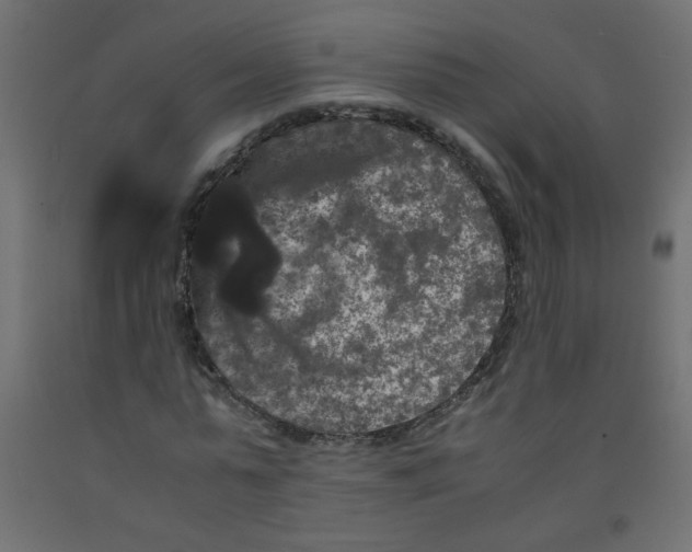 X0000092290775200710121433