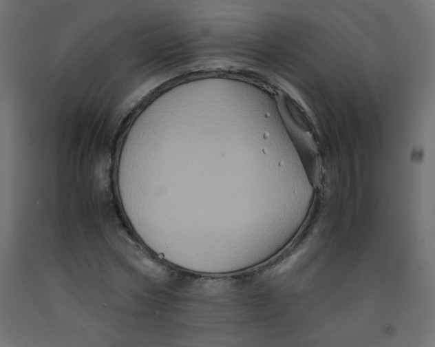 X0000092290778200710121433