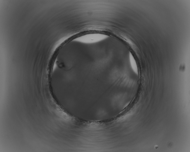 X0000092290779200710121433