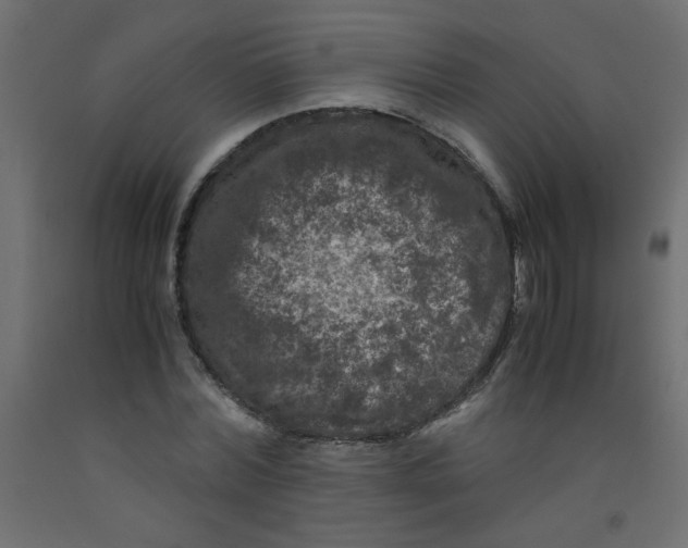 X0000092290780200710121433