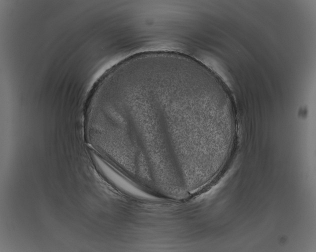 X0000092290781200710121433