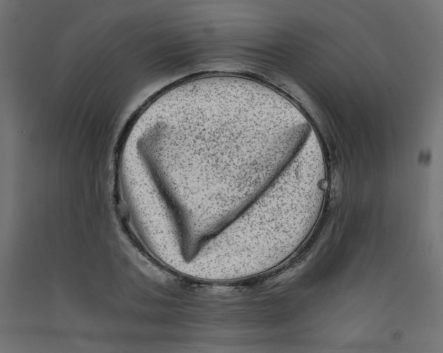 X0000092290787200710121433