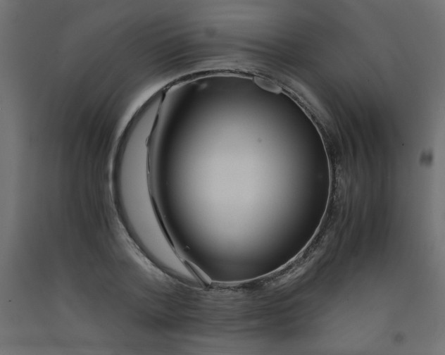 X0000092290788200710121433