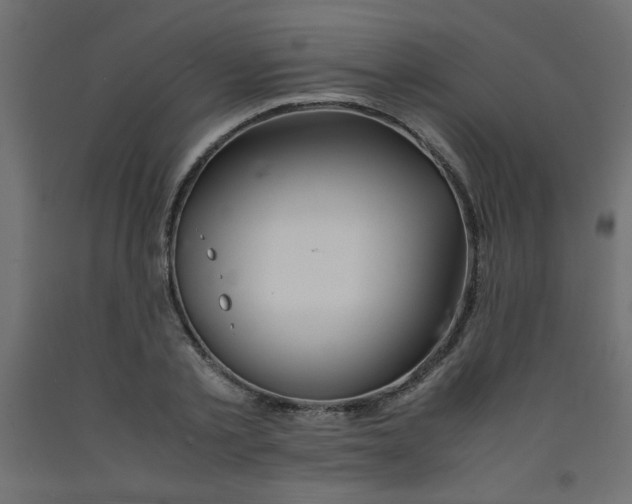 X0000092290789200710121433