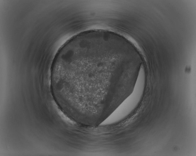 X0000092290791200710121433