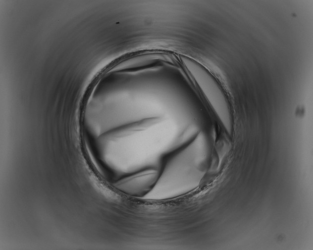 X0000092290792200710121433