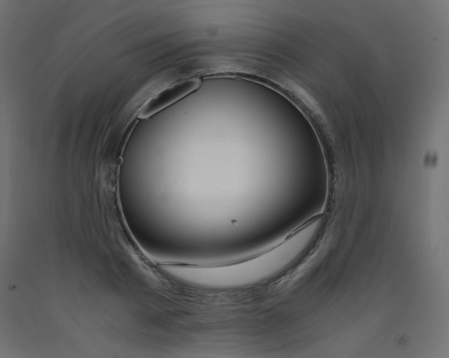 X0000092290793200710121433