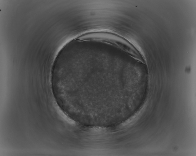 X0000092290797200710121432