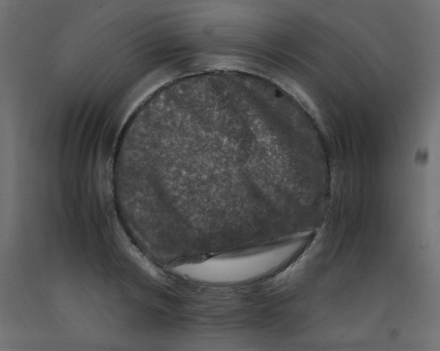 X0000092290798200710121432