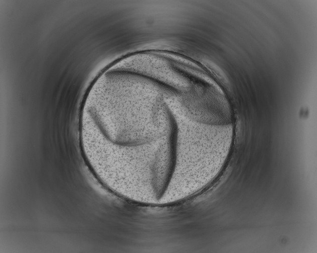 X0000092290800200710121432