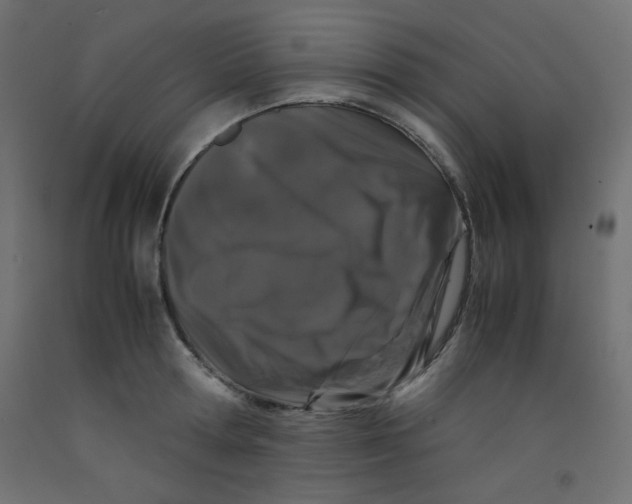 X0000092290802200710121432