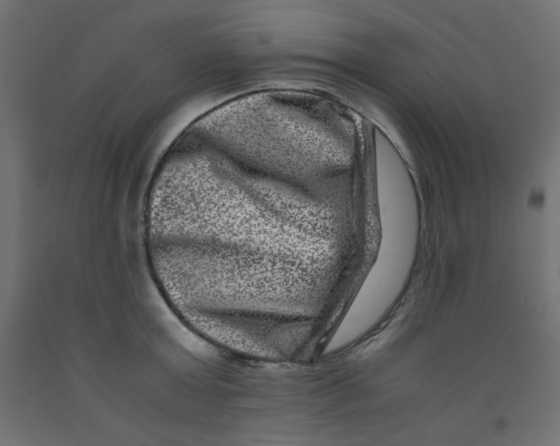 X0000092290803200710121432