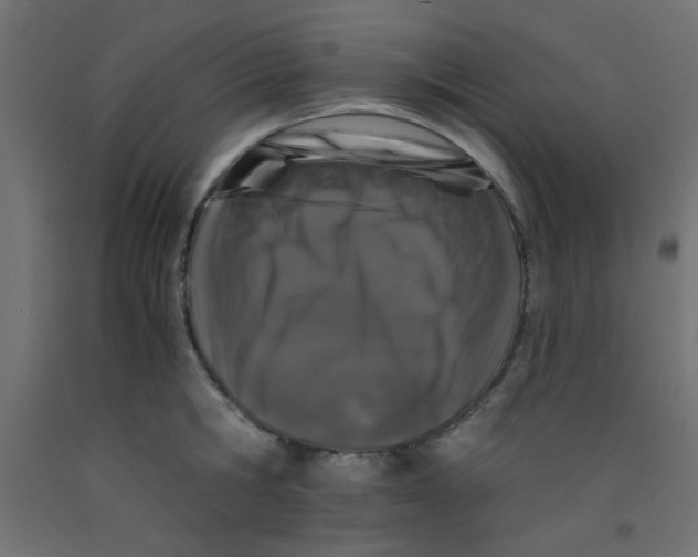 X0000092290806200710121432