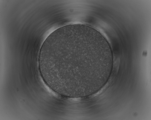 X0000092290810200710121432