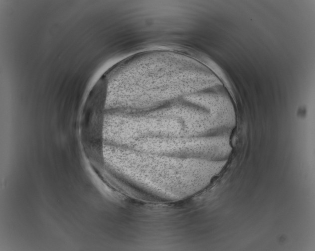 X0000092290811200710121432