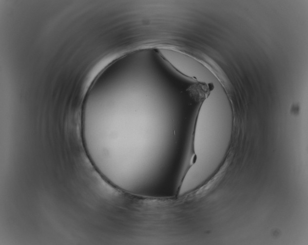 X0000092290812200710121432