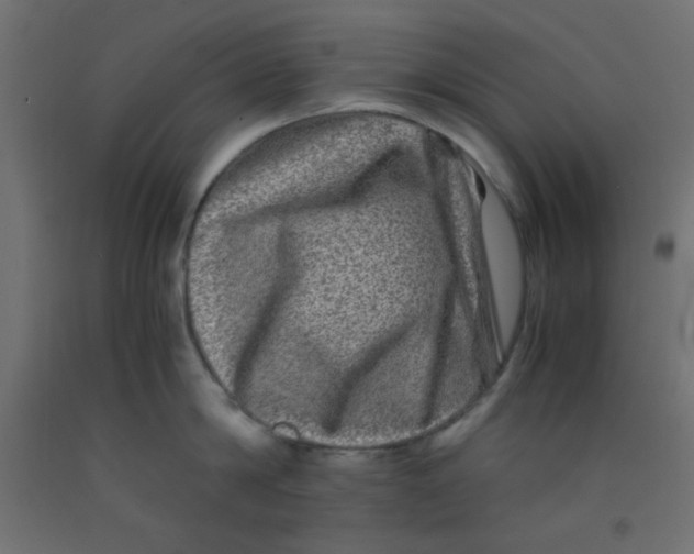 X0000092290814200710121432