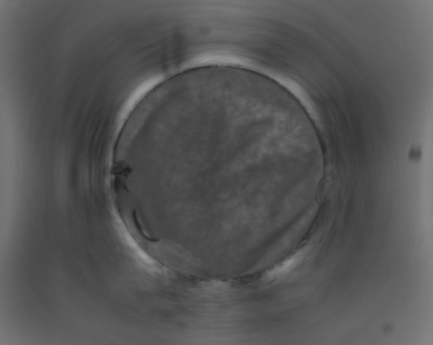 X0000092290815200710121432