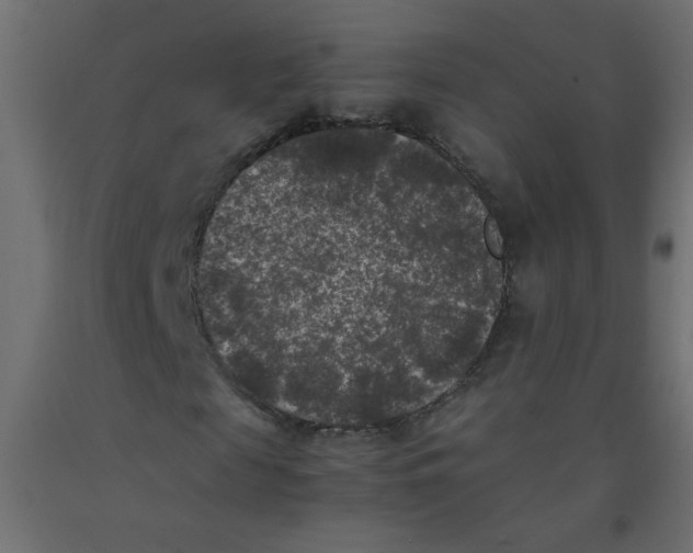 X0000092290817200710121432