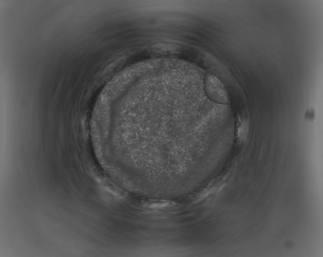 X0000092290819200710121432