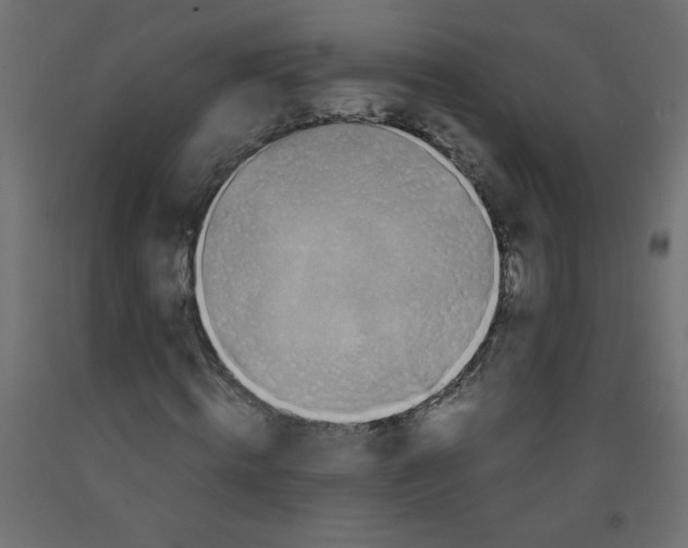 X0000092290820200710121432