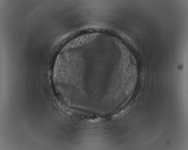 X0000092290822200710121432