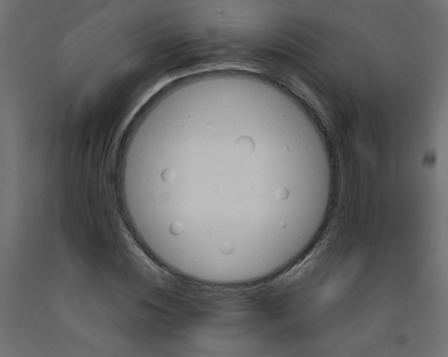 X0000092290828200710121432