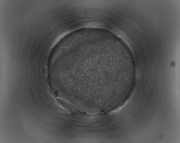 X0000092290829200710121432