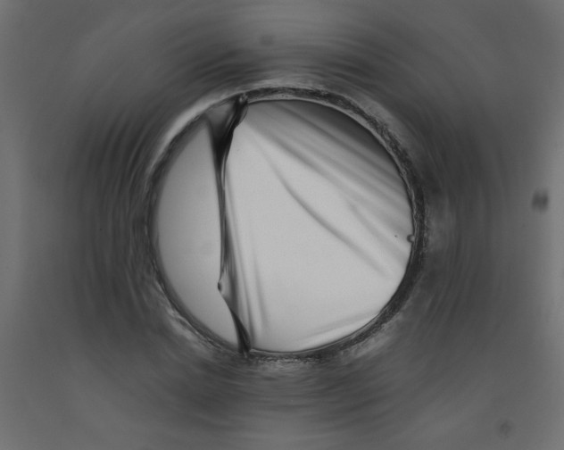 X0000092290830200710121432