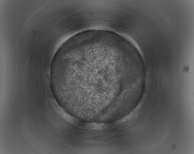 X0000092290831200710121432