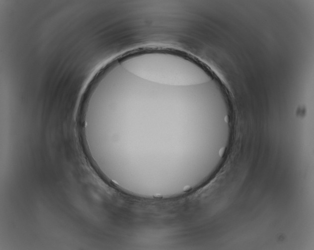 X0000092290832200710121432