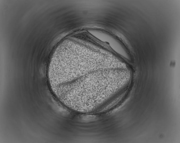 X0000092290833200710121432