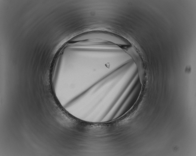 X0000092290834200710121432