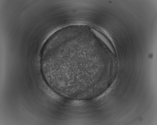 X0000092290835200710121432