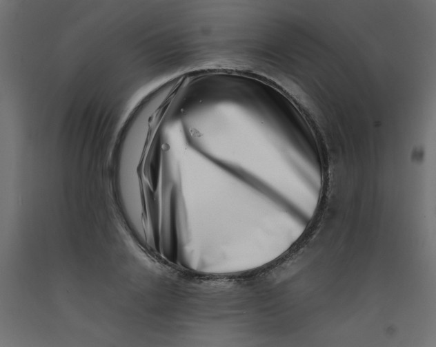 X0000092290838200710121432