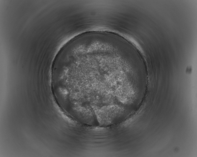 X0000092290839200710121432