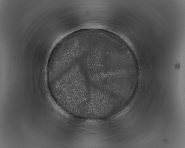 X0000092290840200710121432