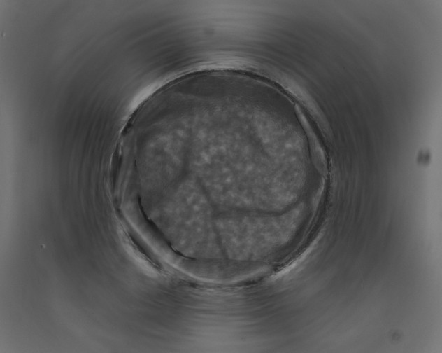 X0000092290842200710121432