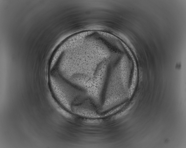 X0000092290843200710121432