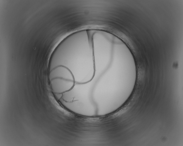 X0000092290844200710121432