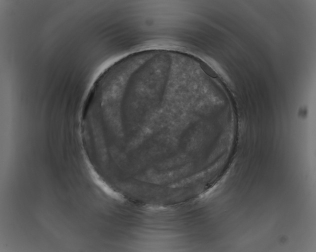 X0000092290846200710121432