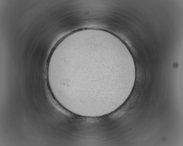 X0000092290848200710121432