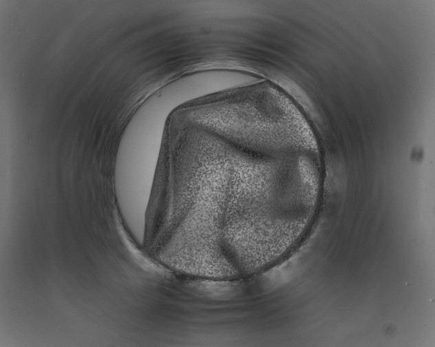 X0000092290849200710121432