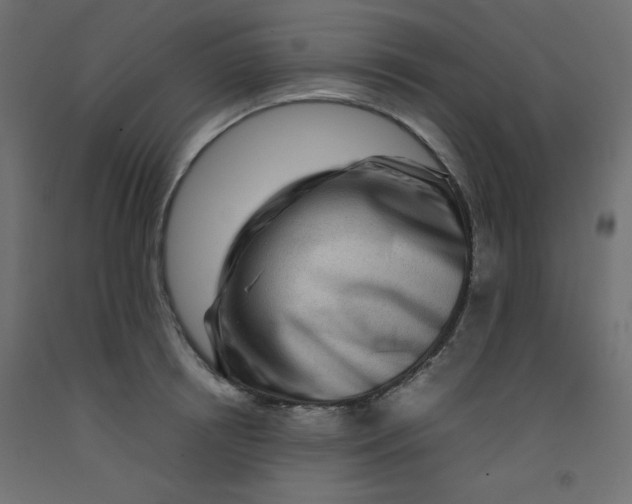 X0000092290850200710121432